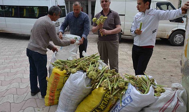 Işgın tezgahlardaki yerini aldı
