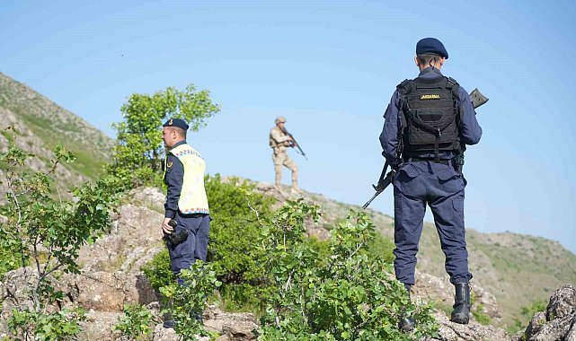 jandarma ekipleri teroru bitirdikleri daglarda simdilerde ters lale nobeti tutuyor