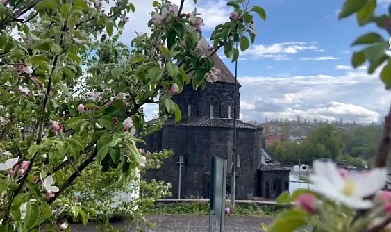 Kars'ta bahar çiçekleri doğaya renk kattı