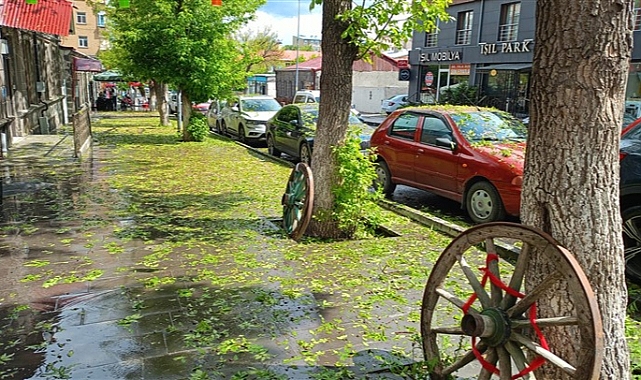 Kars'ta dolu ağaçların dallarını tıraş etti