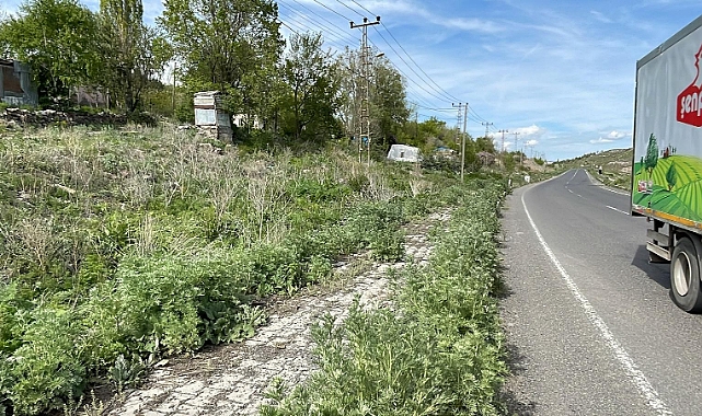 Kars'ta kaldırımları ot bastı