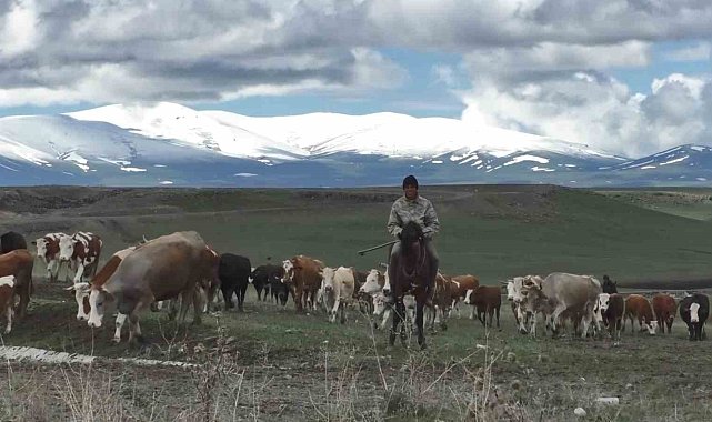Kars'ta dağların zirvesi mayısta beyaza büründü