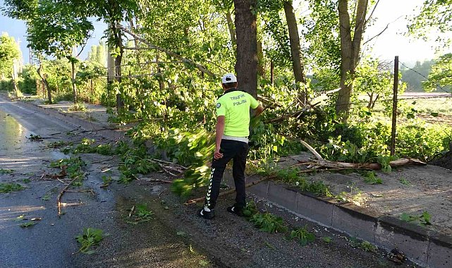 Malatya'da 15 dakikalık fırtına ağaçları devirdi