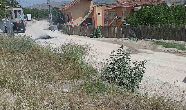 Malatya'da yol tepkisi
