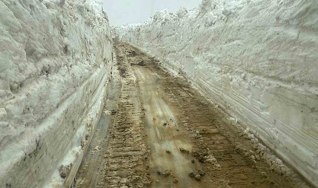 Mayıs ayında 5 metreyi bulan karda yol açma çalışması sürüyor