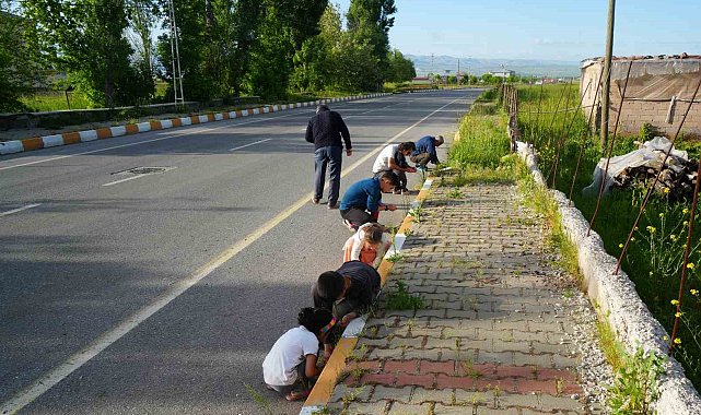 Muş'ta yağan bilinmeyen cisimler şaşırttı