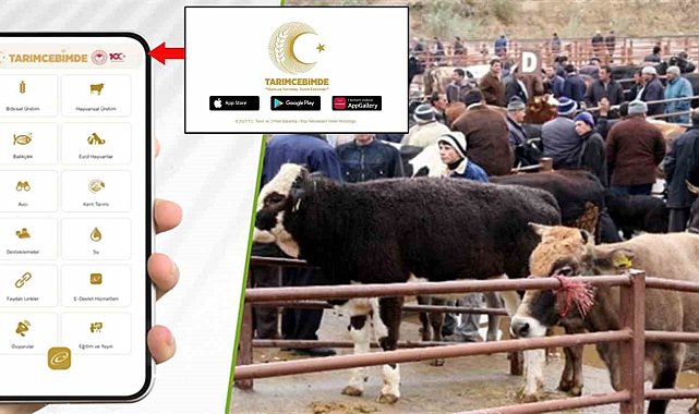 "Tarım Cebimde" ile 3 adımda kurbanlık sorgulama