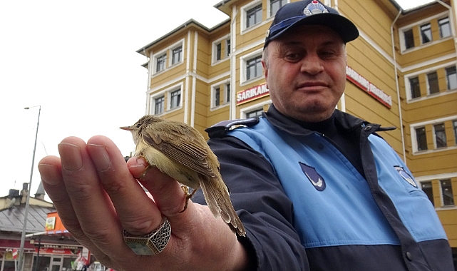 Sarıkamış 'ta bitkin bulunan kamışçın kuşu tedavi altına alındı