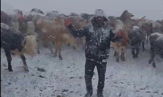 Sarıkamış'ta dolu ve kar etkili oldu
