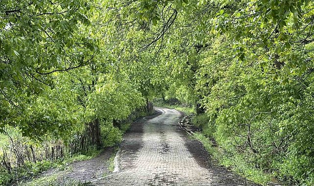 Şemdinli yeşil doğasıyla Karadeniz'i aratmıyor