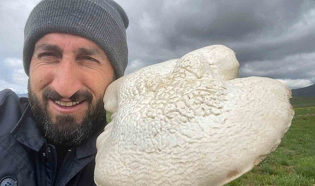 Solhan'da 2 kilogramlık mantar bulundu