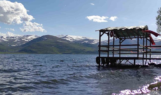 Son yağışlarla Çıldır Gölü'nde su seviyesi arttı
