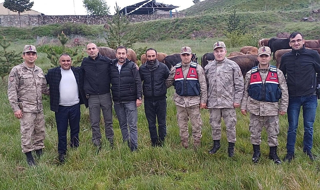 Susuz’da çalınan hayvanlar bulundu