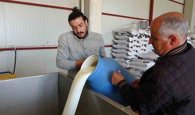 Süt Toplama Merkezleri yaygınlaşıyor