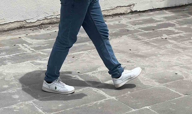 Tatvan'da çekirgeler şehir merkezini istila etti