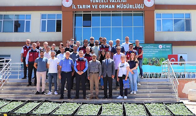 Tunceli'de 228 üreticiye 84 bin domates fidesi dağıtıldı
