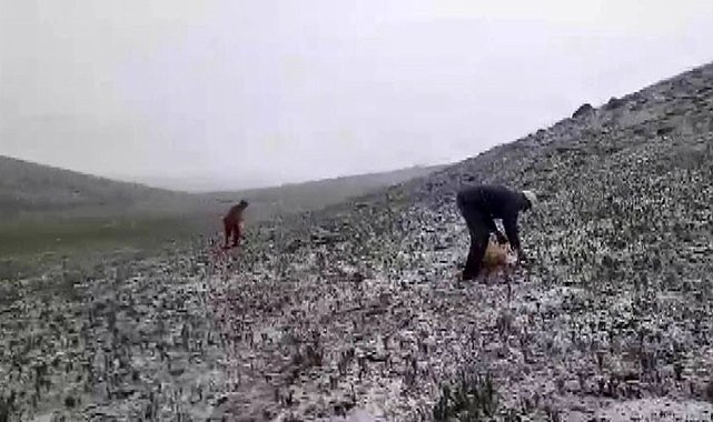 Tunceli'de mayısın ortasında kar yağdı