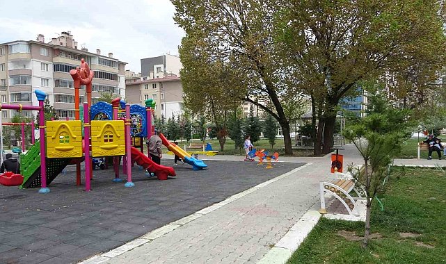 Uzmanlardan kene uyarısı: "Kesinlikle çıplak elle dokunmayın"