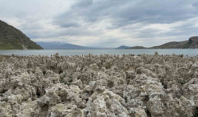 Van Gölü kıyılarındaki mikrobiyalitler vatandaşları şaşırttı