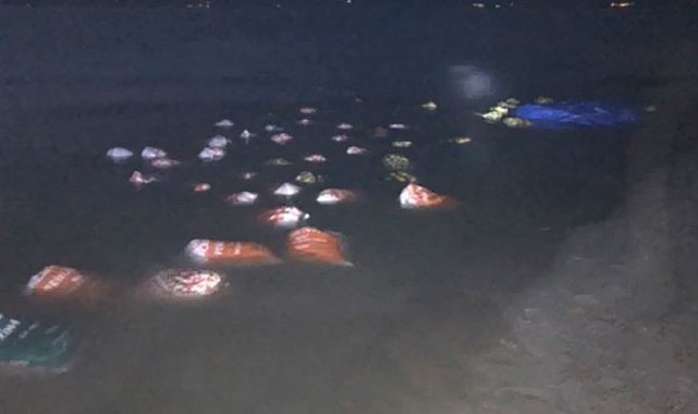 Van'da 3 ton kaçak avlanmış balık ele geçirildi
