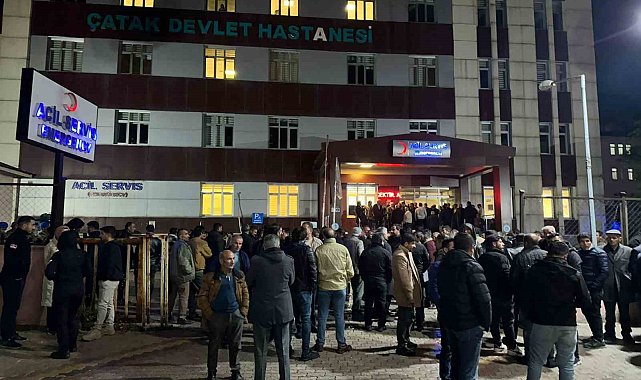 Van'da yıldırım çarpması sonucu 1 korucu şehit oldu