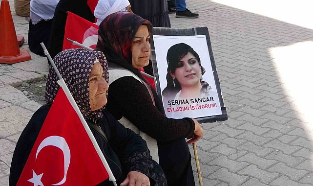 Vanlı anne: "O ceza Selahattin Demirtaş'a azdır"