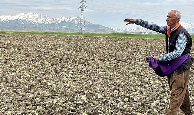 Yüksekova'da ekim mesaisi başladı