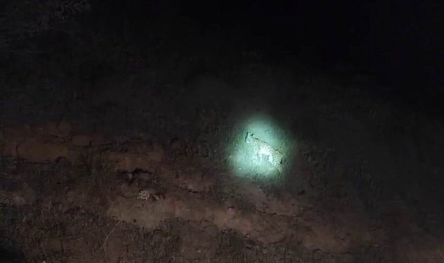 'Gecenin hayaleti' Tunceli'de görüntülendi