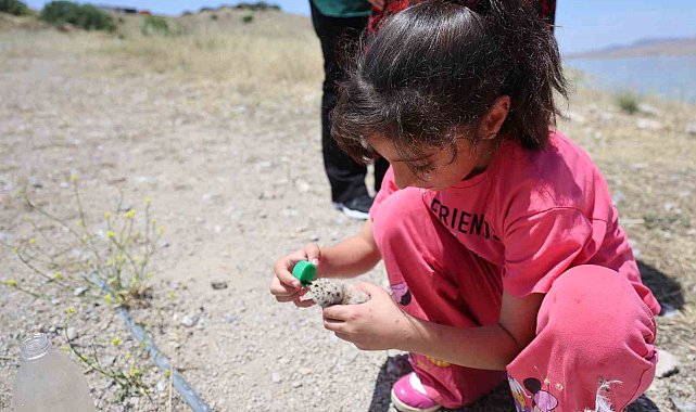 8 yaşındaki kızın, susuz kalan martı yavrusunu kurtarma mücadelesi yüreklere dokundu