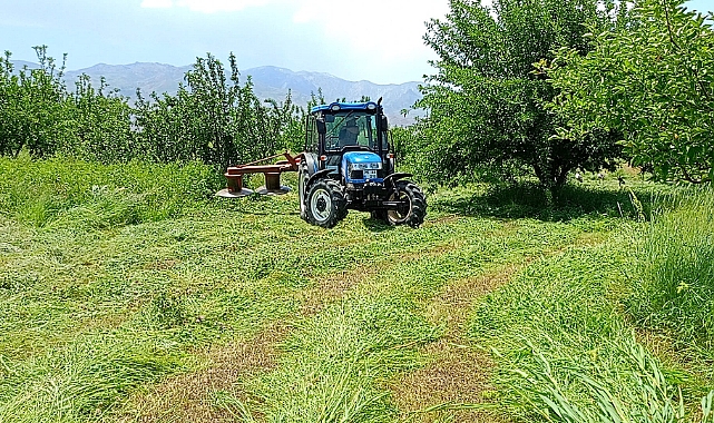Aras Nehri boylarında ot biçimi başladı