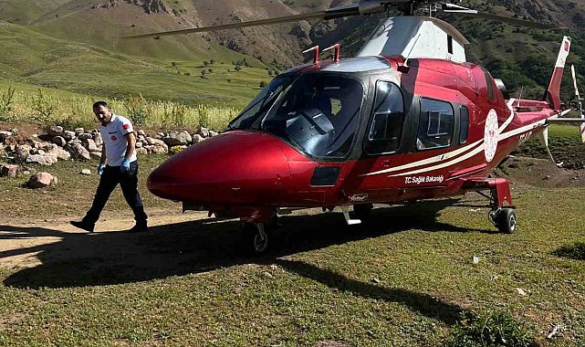 Arı sokması sonucu bilinç kaybı yaşayan hasta, ambulans helikopterle Erzurum'a sevk edildi