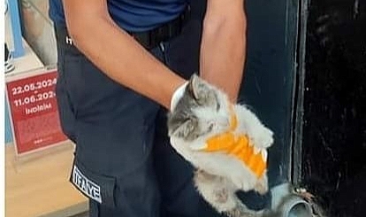 Atık su borusuna sıkışan kedi kurtarıldı