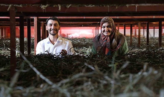 Babaannesinden esinlendi, Elazığ tarihinin en büyük ipek böcekçiliği çiftliğini kurdu