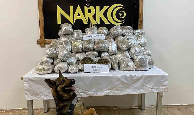 Bingöl'de 64 kilo uyuşturucu ele geçirildi: 1 tutuklama