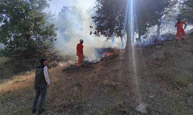 Bingöl'de iki ayrı bölgede çıkan yangınlar söndürüldü