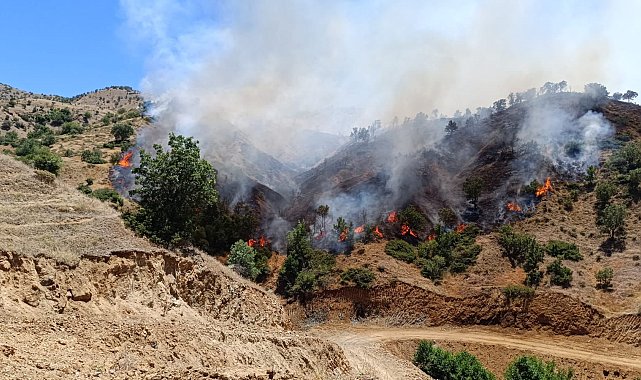 Bingöl'de iki ayrı ilçedeki orman yangınları söndürüldü