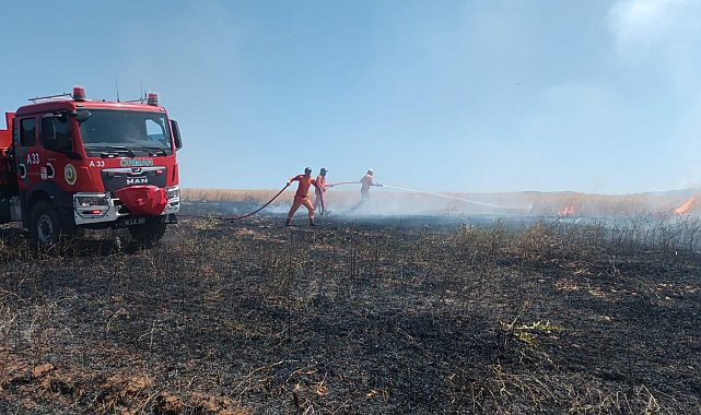 Bingöl'de yaklaşık 100 dönümlük tarım alanı yandı