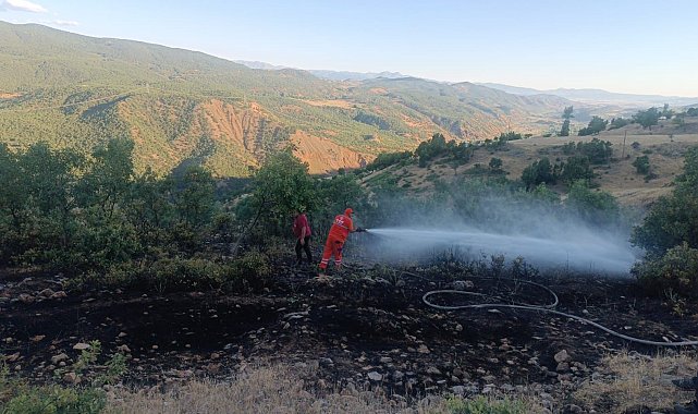 Bingöl'deki orman yangını büyümeden söndürüldü