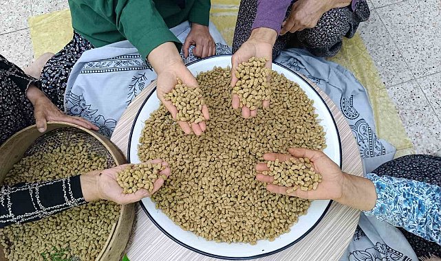 Coğrafi işaretli Ulukale dutu, Tunceli'nin köyünden çıkıp dünyaya ihraç ediliyor