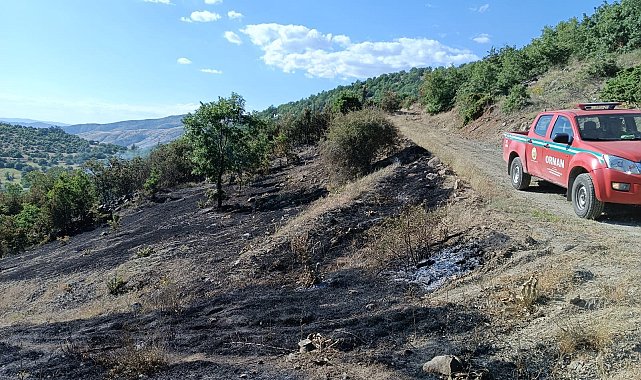 Elazığ'da korkutan yangın