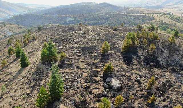 Elazığ'da orman yangını kontrol altına alındı, yüzlerce dönümlük alan kül oldu