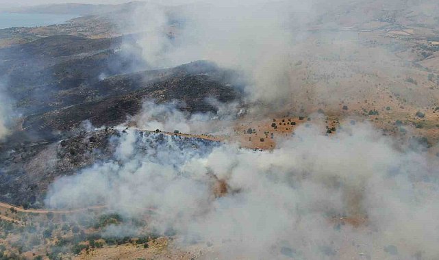 Elazığ'da orman yangınına havadan müdahale sürüyor