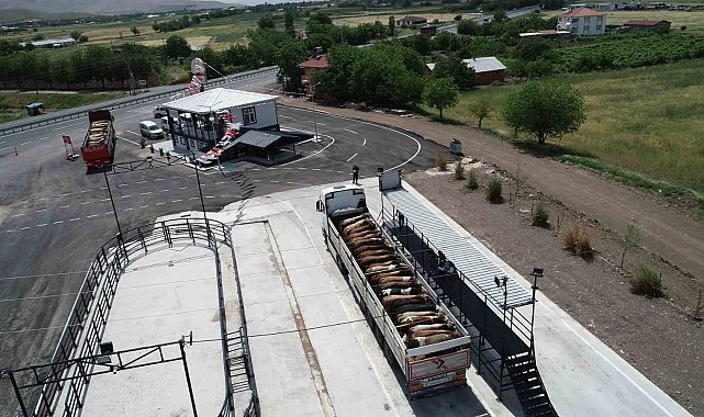 Elazığ'da usulsüz hayvan sevkiyatına 2 milyon 300 bin lira ceza