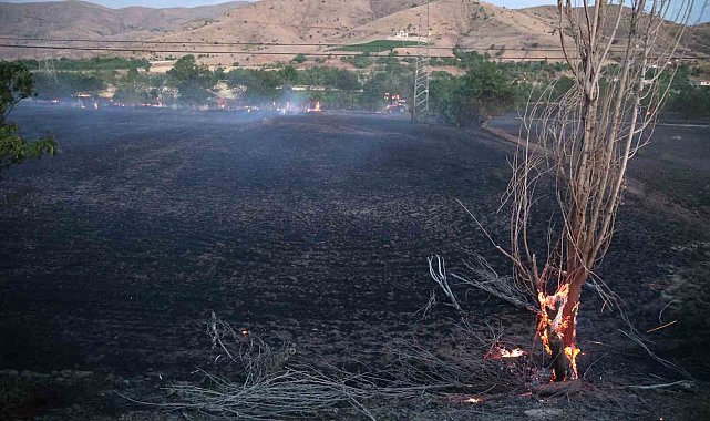 Elazığ'da yangın: 20 dönüm ekili alan kül oldu