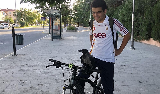 Erzincan'da karga ile lise öğrencisinin dostluğunu görenler imreniyor