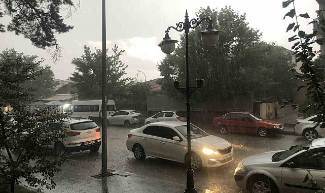 Erzincan'da dolu yağışı etkili oldu