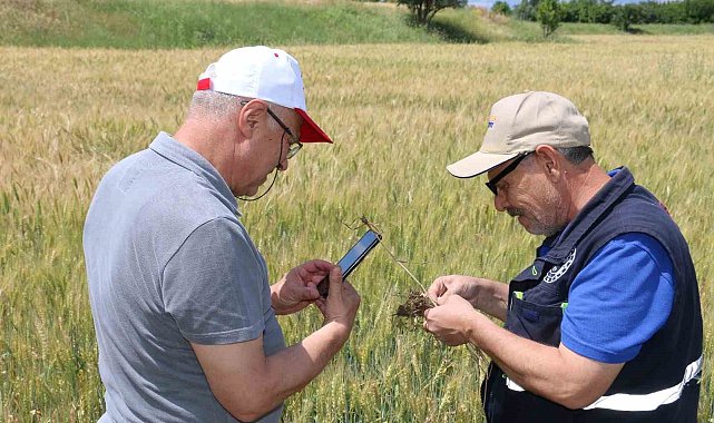 Hububat sahasında canlı yayınlı çözüm