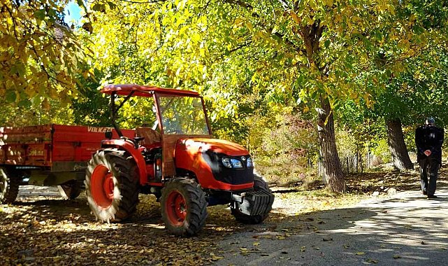 İşte Doğu'nun bitkisel üretim karnesi