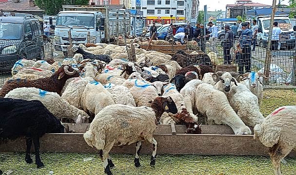 Kars huzurlu bir bayramı geride bıraktı