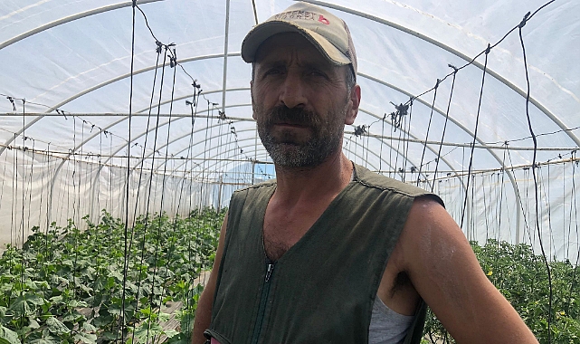 Kars'ın sebzesini Artvinliler yetiştiriyor
